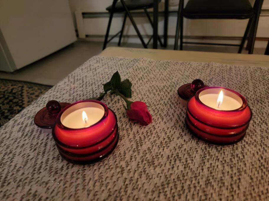 Comfy And Chic Boston Apartment! Free Parking Exterior foto